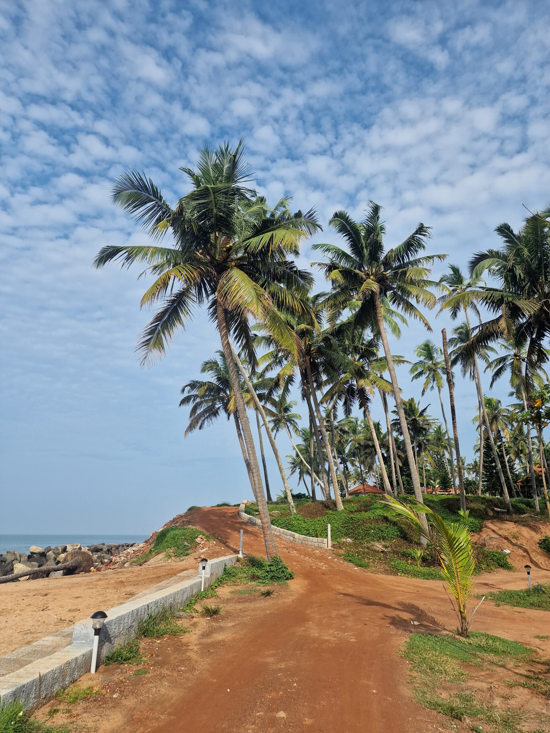 Lush tropical Kerala, women only retreat led by a Kerala born British Indian woman
