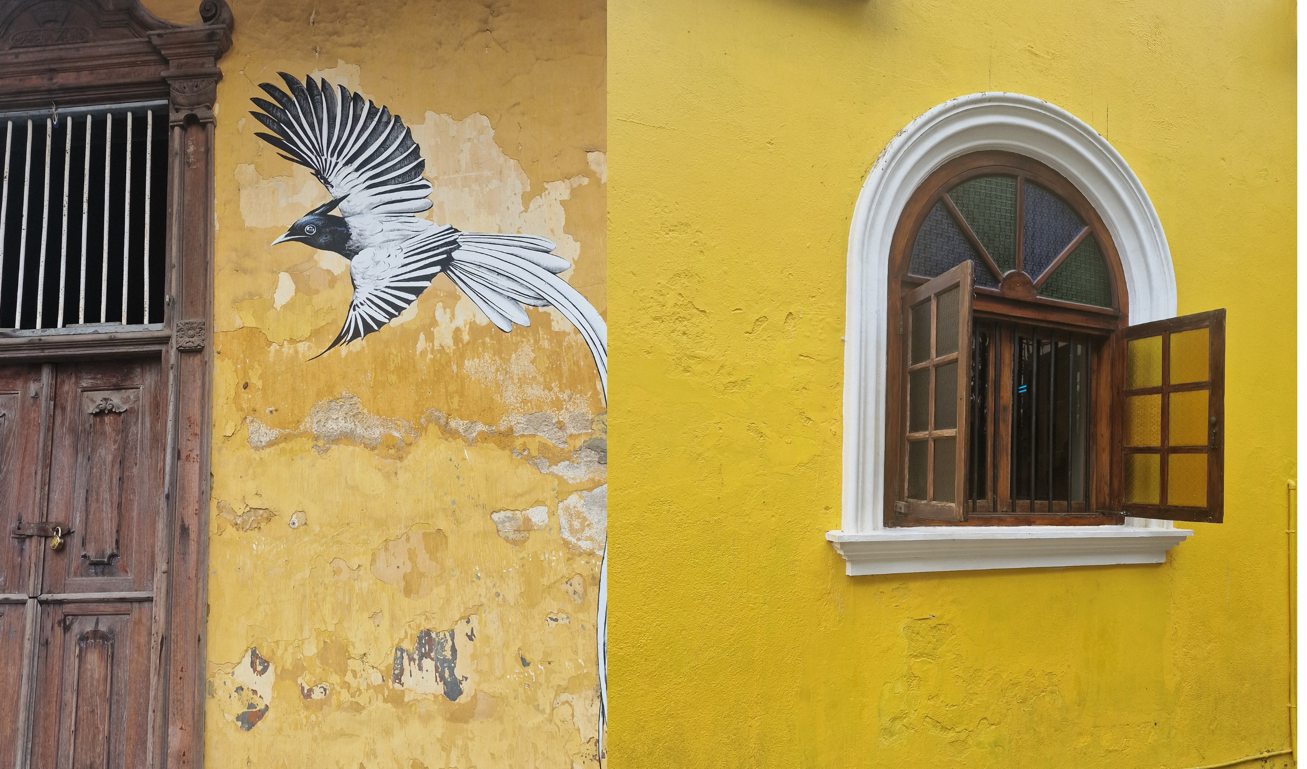 Cosmpolitan and arty Fort Kochi for your final day at our women's retreat in Kerala