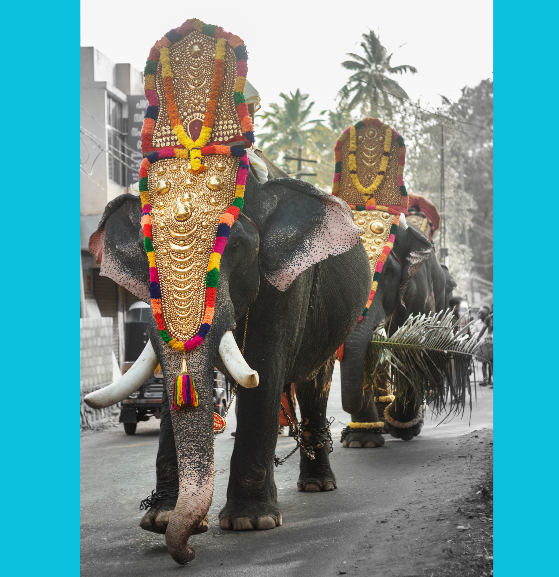 Explore Kerala's temples and mystical rituals with a women only retreat
