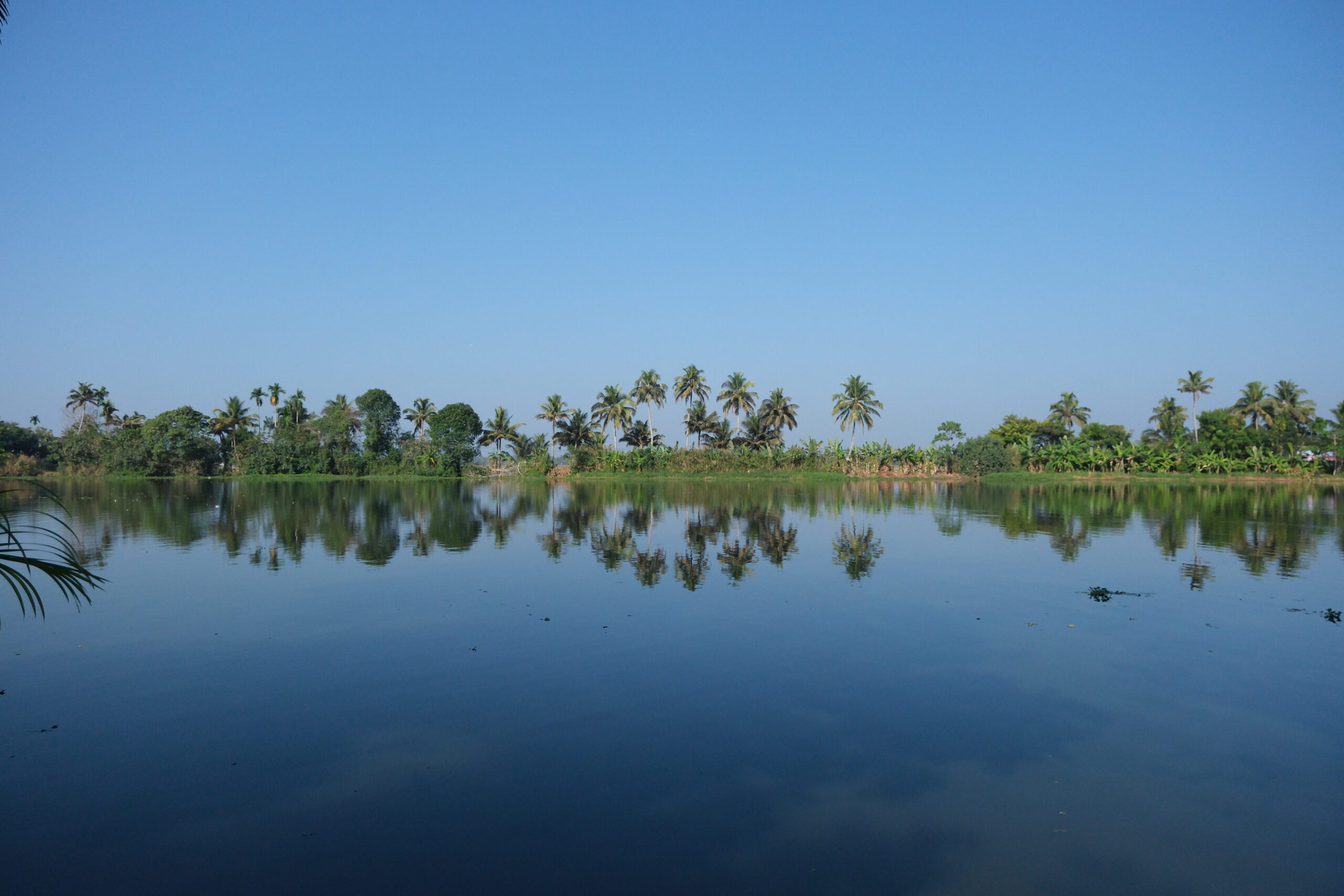 Women's retreat in Kerala, an all inclusive womens retreat focused on wellness and sisterhood